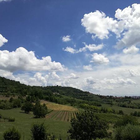 Azienda Agricola Garoglio Davide Alfiano Natta Exteriér fotografie