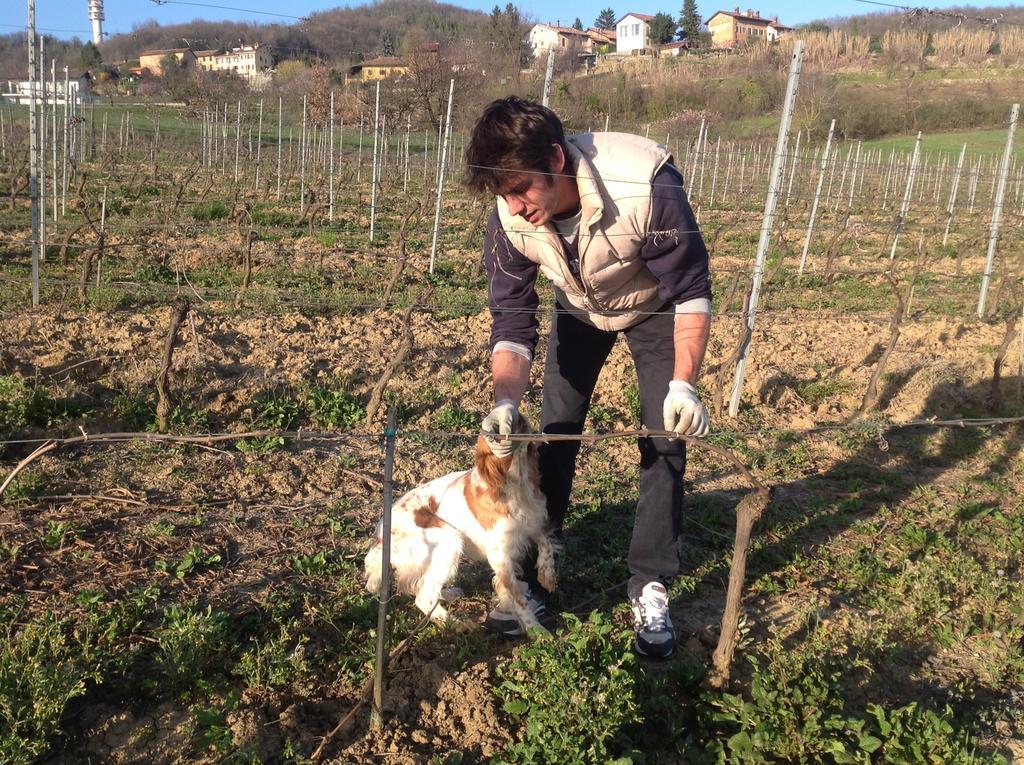 Azienda Agricola Garoglio Davide Alfiano Natta Exteriér fotografie